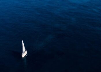 Beyond the Rankings: An Ecological Guide to Navigating the American University System