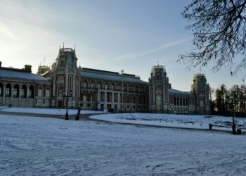 Beyond ‘Free’: A Financial Insider’s Guide to the Real Cost of University in Canada