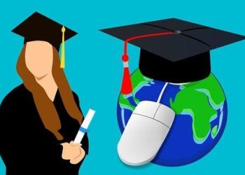 The California RN’s Guide to Online Degrees: How I Stopped Chasing Diplomas and Started Architecting My Future