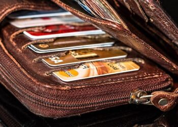 The Portfolio Principle: A New Playbook for Career Currency in the Skills Economy