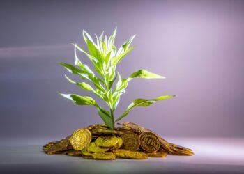 Beyond the Limit: How I Stopped Counting Credits and Started Investing in My Education