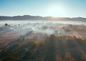 The Certificate Compass: My Journey from Confusion to Clarity in Choosing an Online Program