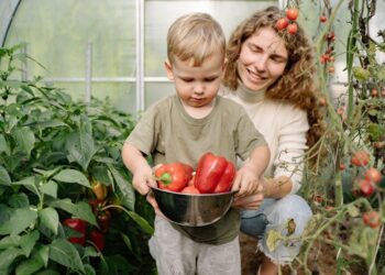 The Gardener and the Cathedral: Why the Best School in the World Is a Myth, and How to Find the Right Education for You