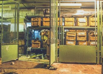 The Paper Map is a Lie: My Journey to Finding a Real GPS for Career Change with an Online Associate Degree