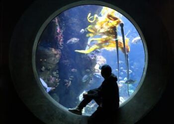 From Assembly Line to Ecosystem: Why School Subjects Are Broken and How We Can Fix Them