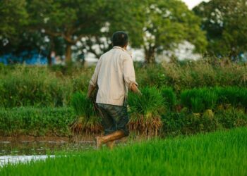 The Career Ecosystem: Stop Searching for a Job and Start Cultivating a Life’s Work