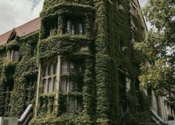 Ivy League Admissions: An In-depth Analysis of Standardized Testing Policies for 2025