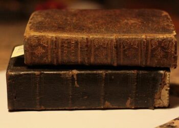 More Than Money: Why a Scholarship Isn’t a Discount, It’s a Catalytic Converter for Human Potential