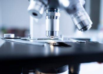 The Enduring Value and Evolving Landscape of Higher Education: An Analytical Report