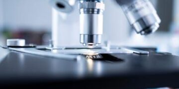 The Enduring Value and Evolving Landscape of Higher Education: An Analytical Report