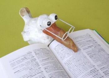 The Labyrinth and the Guide: A Strategic Narrative for the Canadian Study Permit