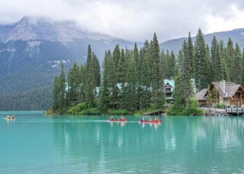 The Point Game: One Immigrant’s Journey Through the Labyrinth to a Life in Canada